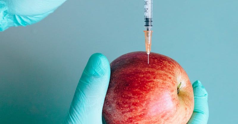 Person Injecting a Red Apple by Using a Syringe